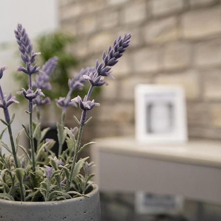 Apartment Stela - Private Terrace & Parking 扎达尔 外观 照片